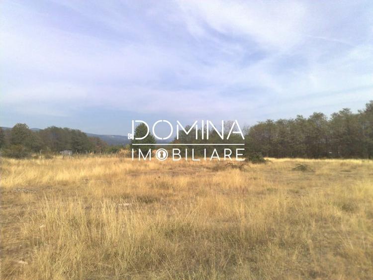 Vanzare teren intravilan 6843 mp, aproape de Manastirea Polovragi - 5