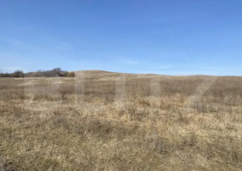 Teren extravilan in suprafata de 140551 mp in loc. Recea - 10