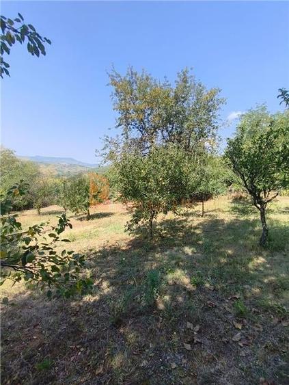 Casa tip parter zona Lunca Frumoasa, Parscov - 25