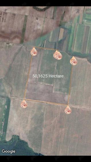 Dau in arenda 50ha - 2