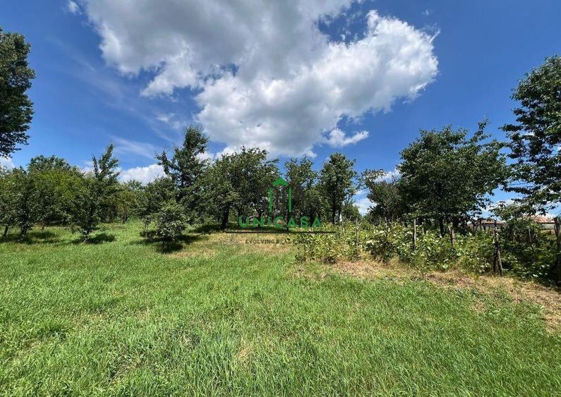 Teren Fedelesoiu/3200 mp/Intravilan - 3