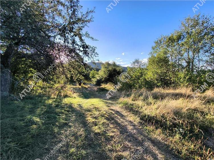 Teren extravilan de 1200 mp, în Sibiel