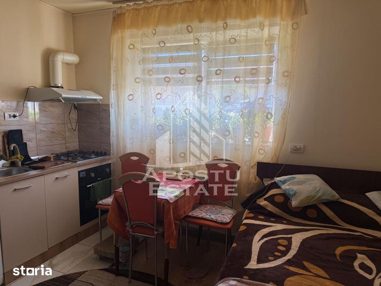 Casă cu 7 camere cu Teren 360 Mp în Buziașului