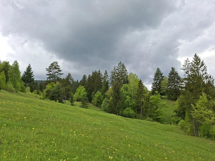 Teren investitii zona rurala - 10