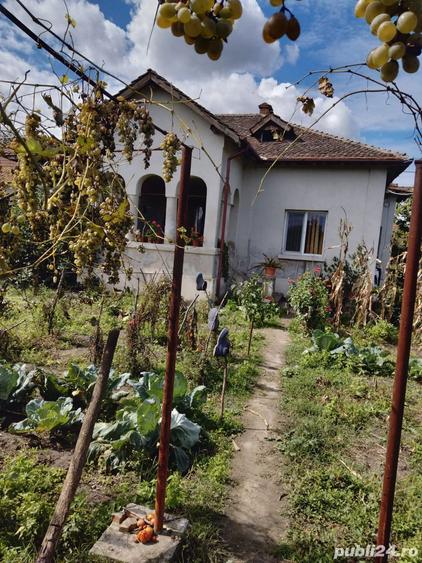 Casă cu 3 camere cu Teren 7170 Mp în Turceni