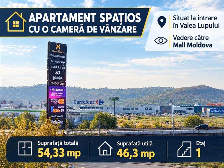 Garsonieră decomandată în Valea Lupului