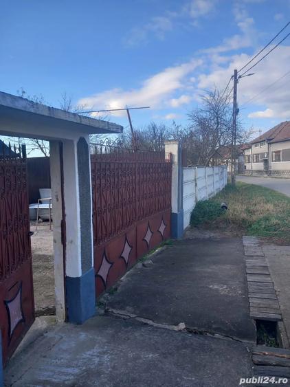 vand casa Cociuba Mare Bihor - 5