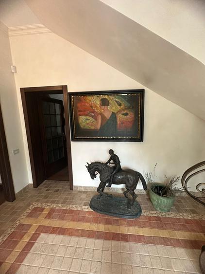 VILA CU IZ PROVENSAL  CU TEREN GENEROS SI PISCINA EXTERIOARA INCALZITA - 4