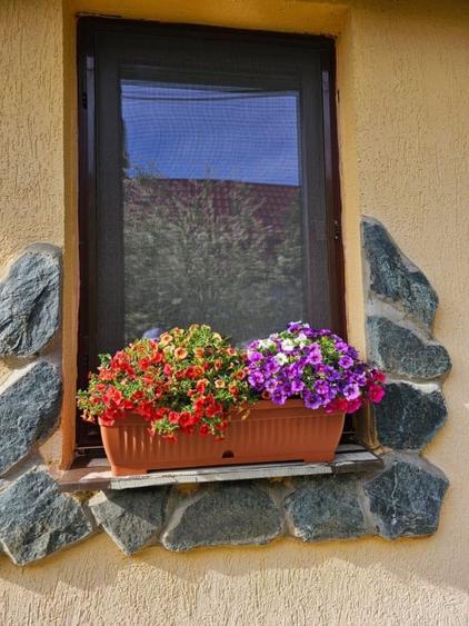 Vand casa 3 camere ARIUSD - 12