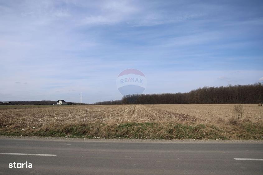 Teren 9,740mp Suceava / Strada Principala - 3