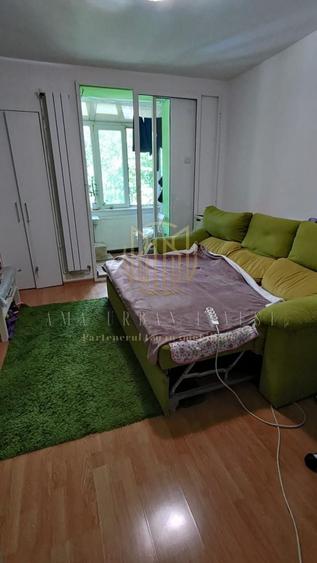 Teiul Doamnei 2 cam 35 mp SU ,cf 2 , an 1965, pet 63000 eur - 5