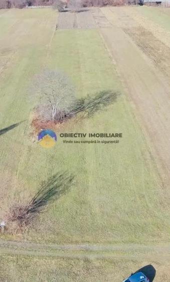 TEREN intravilan 4488 mp - PANGARA?I - 1