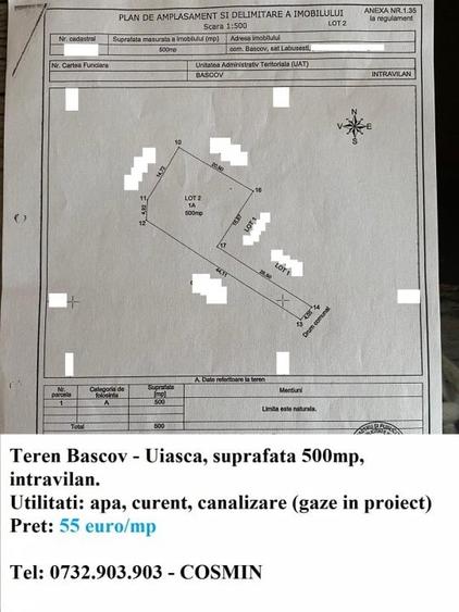 Teren Bascov, diverse suprafete - 7