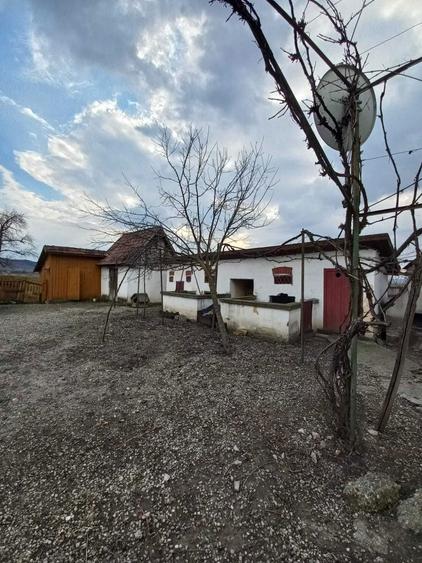 Vand casa cu anexe si gradina in suprafata de 66 de ari - 4