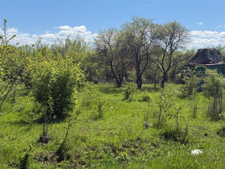 Teren lINTRAVILAN, langa Lempes, construibil - 5