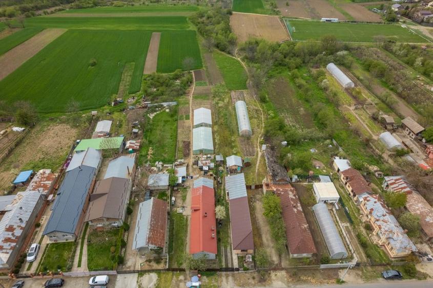 TANTAVA - GRADINARI, CASA 70 MP, LOT - 1557 MP! - 33