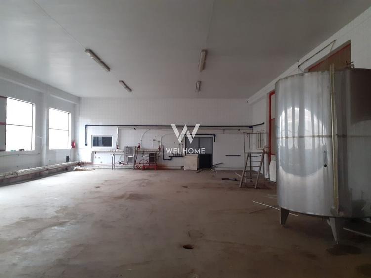 Hala de productie/depozitare si teren 15000 mp - Marsa -Sibiu - 1