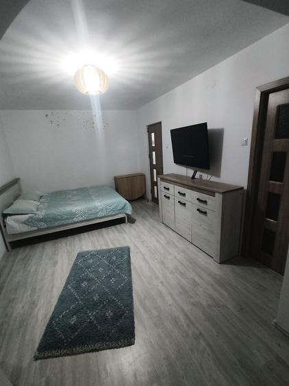 Vand garsoniera Lapus Arges - Trenul pierdut - 1