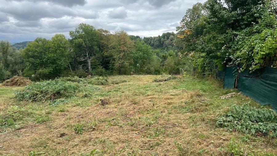 Teren ptr pensiune/casute - 4