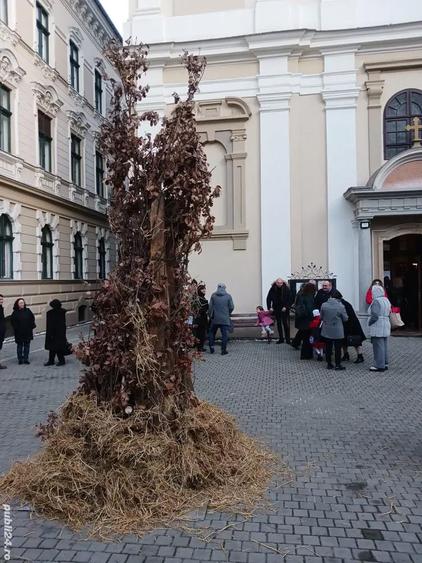 Vand casa in Bazo?u Nou - 6