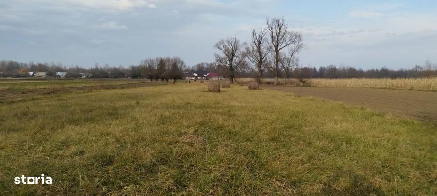Casa batraneasca, teren 5400 mp, Fratautii Vechi - 1
