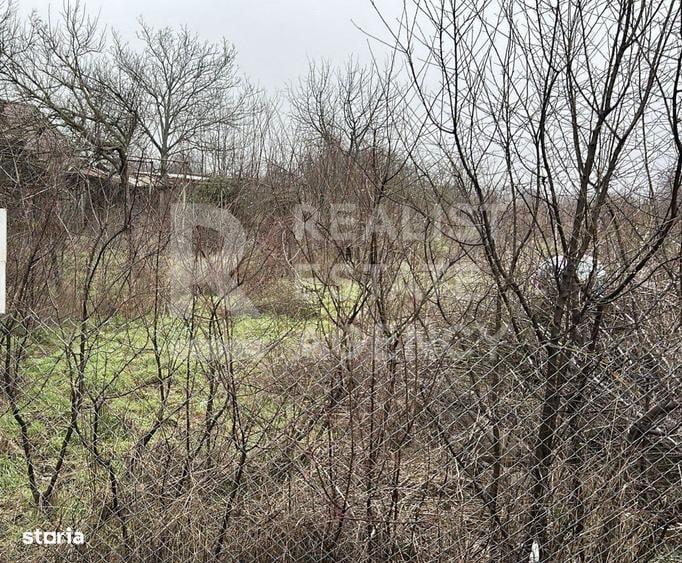 Teren intravilan de vanzare 5.986 mp, Ciofliceni, Snagov (Ilfov) - 3
