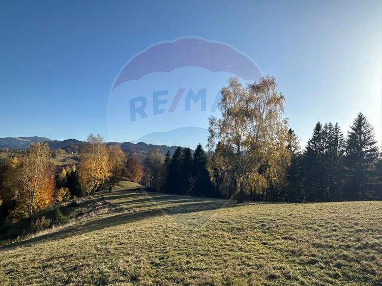 Oportunitate de investiție ! Teren de vis în Pestera - 125.370 mp - 16