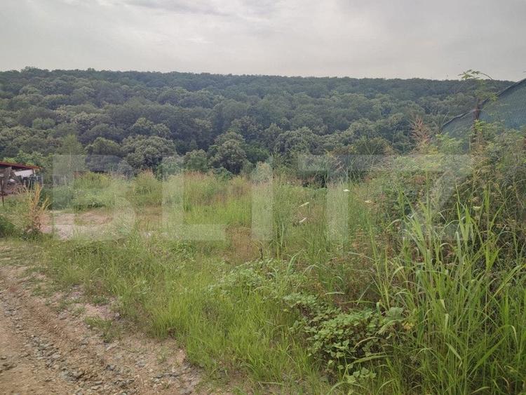 Teren 2350 mp langa padure ,zona Leamna de Jos - 1