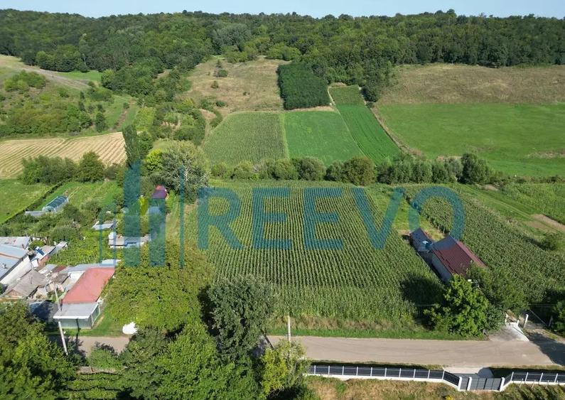 Teren intravilan de vanzare, Sat Bogdan?ti, Com. Traian - 6