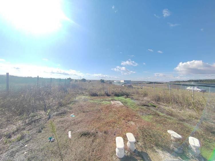 Gagu Dascalu teren ideal pentru investitie zona in dezvoltare - 11