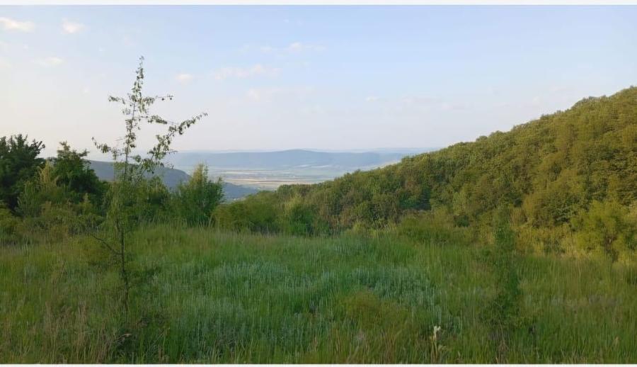 VANZARE TEREN 34500 mp localitatea Salisca, comuna Catcau, jud. Cluj - 2