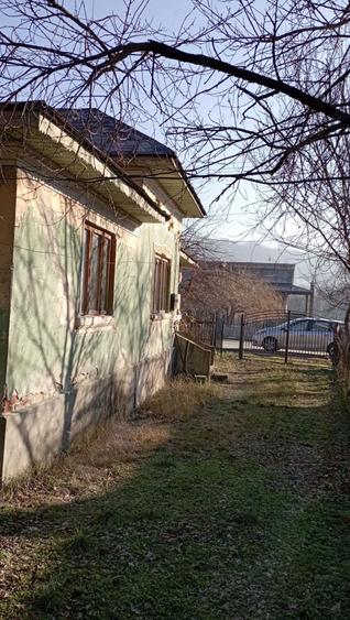 Gospodarie la tara - 9