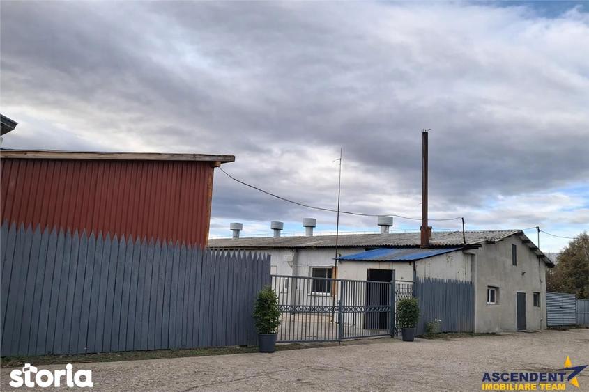 Hala industriala versatila,spatii cazare, platforma betonata,Halchiu,B - 4