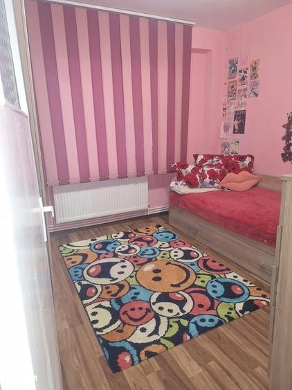 Apartament cu 2 camere în Viziru 3