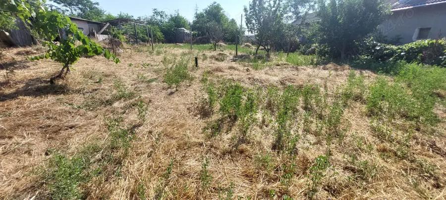 Casa de vanzare, loc Budeni-Comana - 8