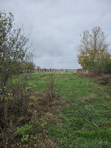 Comuna Butimanu (Decindea), Judet Dambovita, teren intravilan si extravilan