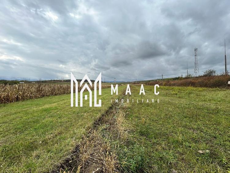 Teren | 3700 mp | Deschidere la DN | Intrare Vestem – Sibiu - 2