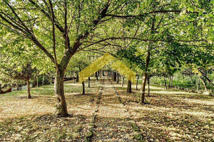 Casa de vinzare zona Gradiste - 14