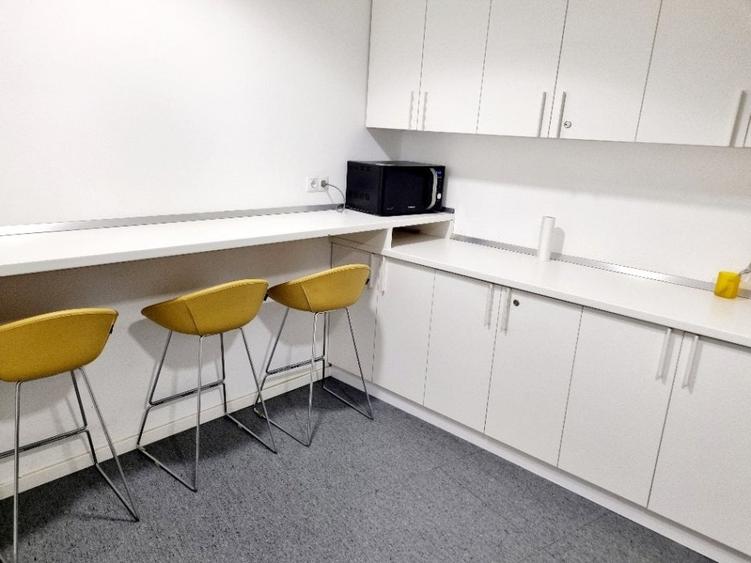 Inchiriere spatii de birou amenajate in cladirea Green Gate - Tudor Vladimirescu - 9