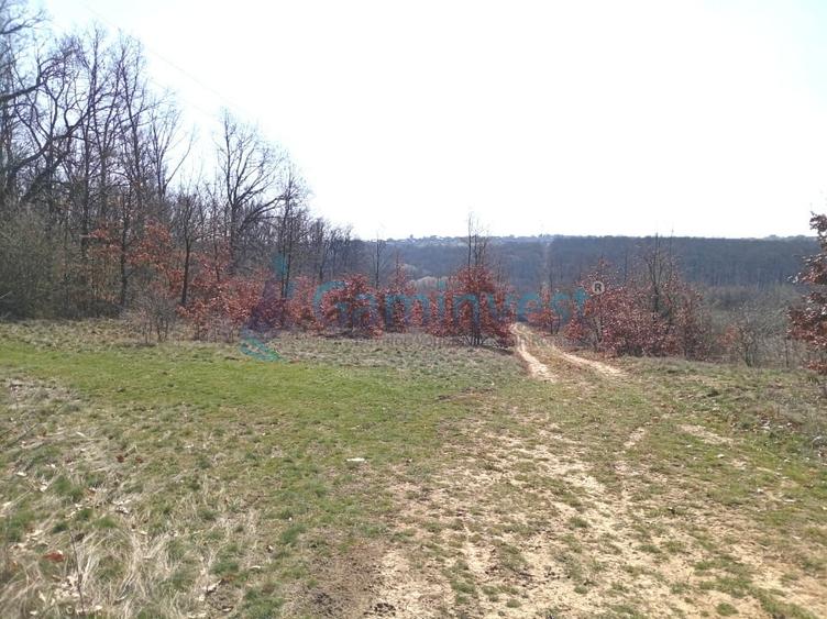 Teren intravilan de vanzare in Paleu, aprape de padure, Bihor - 1