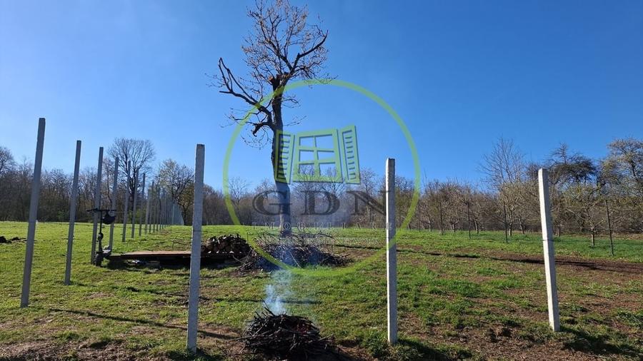 Teren intravilan de vânzare | 809 mp | – Tropinii Noi, Sibiu - 4