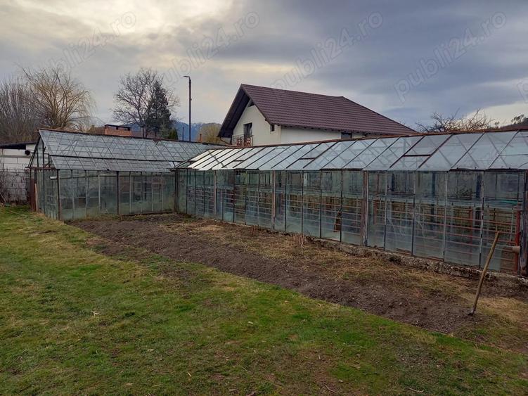 Particular, vand casa + teren de 2200m2 in Zarne?ti, Tohanul Vechi - 5