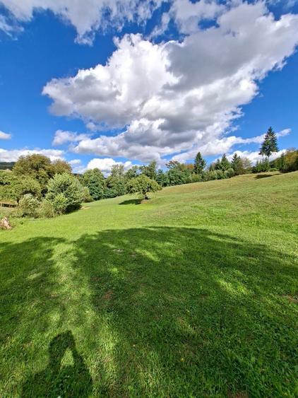 Teren intravilan+extravilan Podirei Bistrita - 4