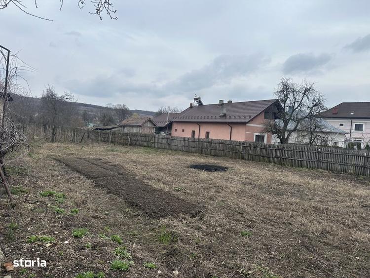 Teren intravilan 1 304 mp - Calinesti- Gorganu-Arges! - 3