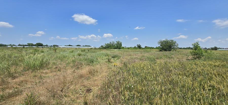 Teren Troitei 450 mp Adunatii Copaceni apropiere Bucuresti jud Giurgiu - 5