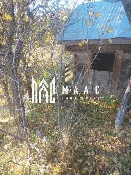 Super ofertă 35000 teren in Muntii Apuseni - 20