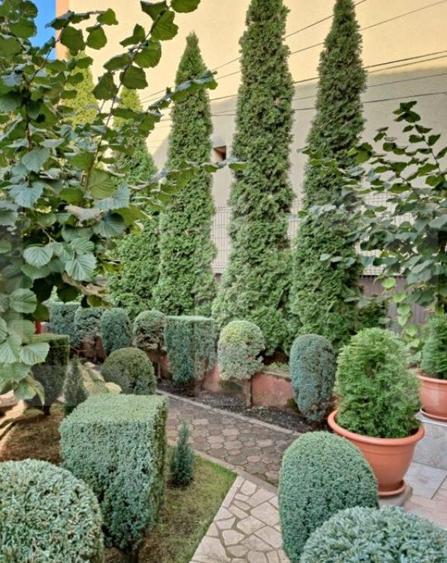 Casa individuala 180 mp, teren 250 mp, Marasti - 8