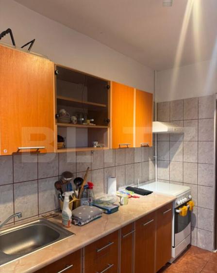 Apartament de 2 camere, 57 mp, zona Mosilor - 4