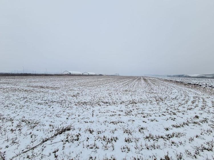 Teren industrial de vanzare in Stupini - 3