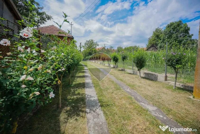 Casă cu 3 camere cu Teren 8788 Mp în Forosig